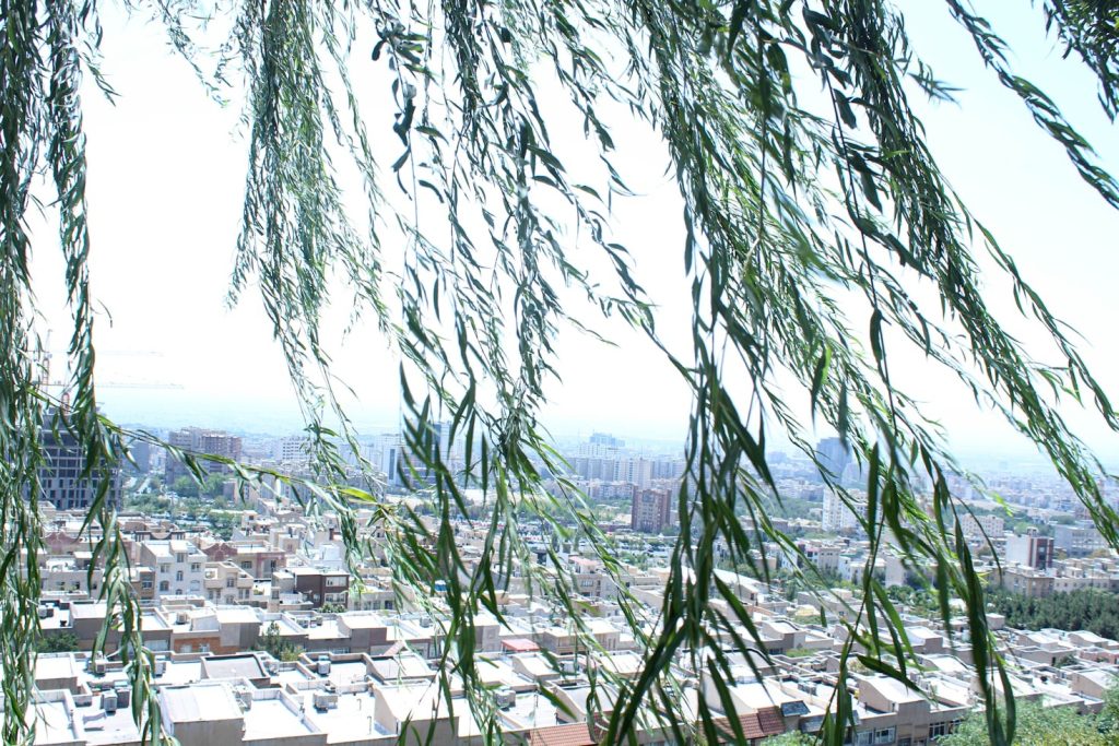 Featured Image 7 1024x683